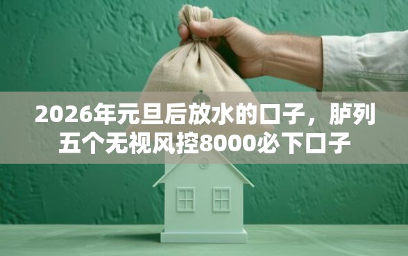 2026年元旦后放水的口子，胪列五个无视风控8000必下口子