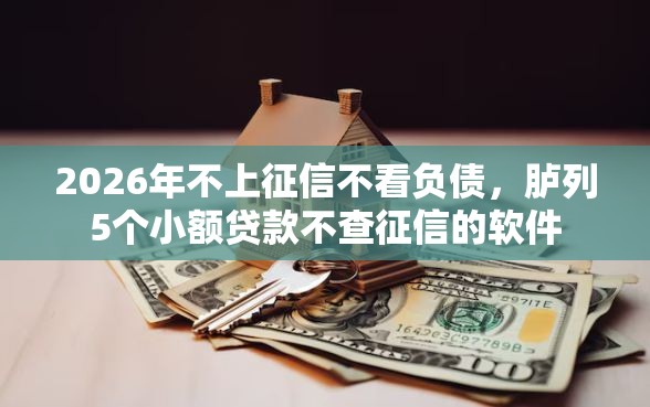 2026年不上征信不看负债，胪列5个小额贷款不查征信的软件