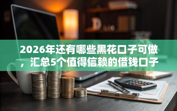 2026年还有哪些黑花口子可做，汇总5个值得信赖的借钱口子