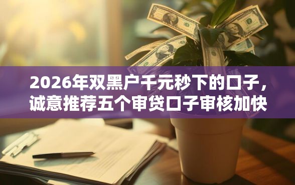 2026年双黑户千元秒下的口子，诚意推荐五个审贷口子审核加快的软件