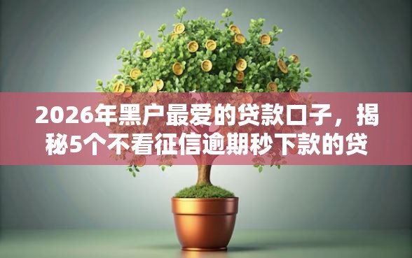 2026年黑户最爱的贷款口子，揭秘5个不看征信逾期秒下款的贷款