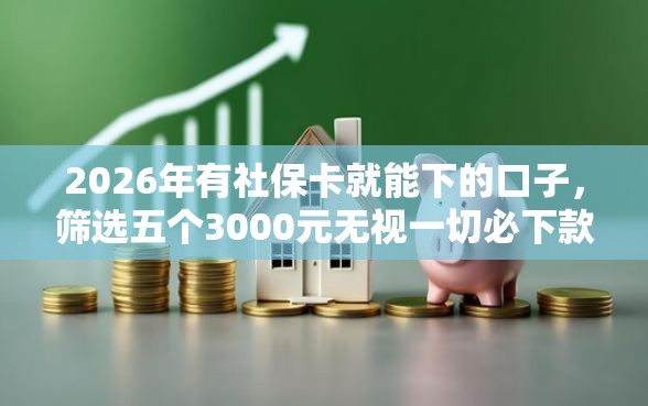 2026年有社保卡就能下的口子，筛选五个3000元无视一切必下款的口子