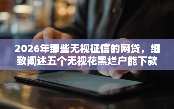2026年那些无视征信的网贷，细致阐述五个无视花黑烂户能下款的网贷