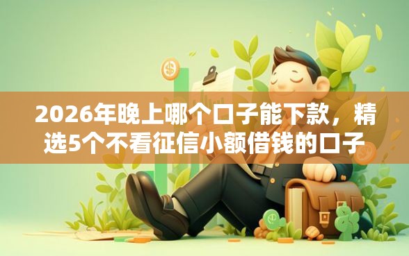 2026年晚上哪个口子能下款，精选5个不看征信小额借钱的口子