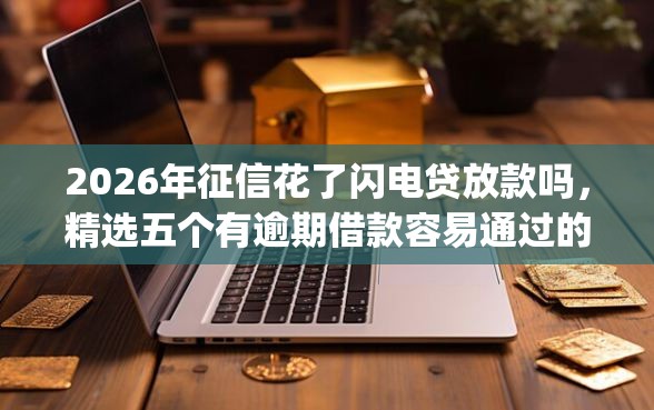 2026年征信花了闪电贷放款吗，精选五个有逾期借款容易通过的app
