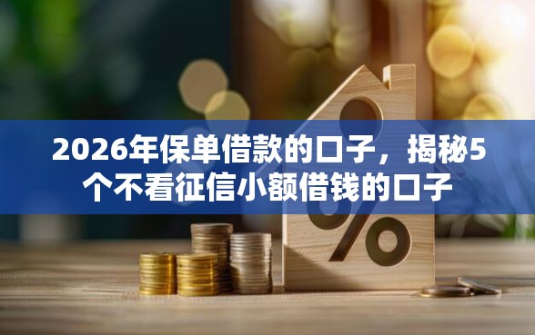 2026年保单借款的口子，揭秘5个不看征信小额借钱的口子