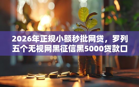 2026年正规小额秒批网贷，罗列五个无视网黑征信黑5000贷款口子