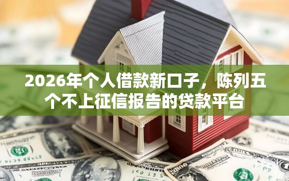 2026年个人借款新口子，陈列五个不上征信报告的贷款平台