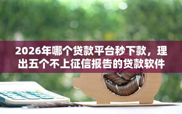 2026年哪个贷款平台秒下款，理出五个不上征信报告的贷款软件