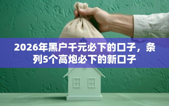 2026年黑户千元必下的口子，条列5个高炮必下的新口子