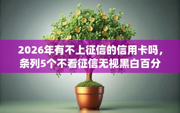 2026年有不上征信的信用卡吗，条列5个不看征信无视黑白百分百下款网贷app