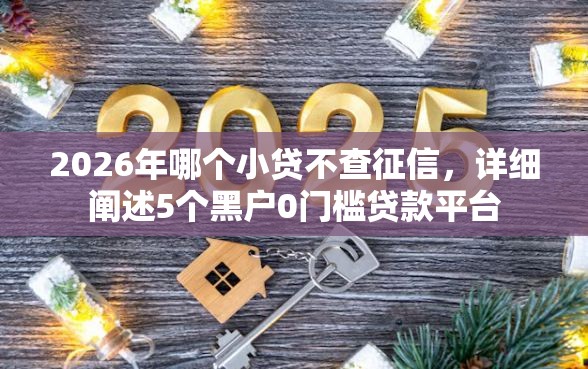 2026年哪个小贷不查征信，详细阐述5个黑户0门槛贷款平台