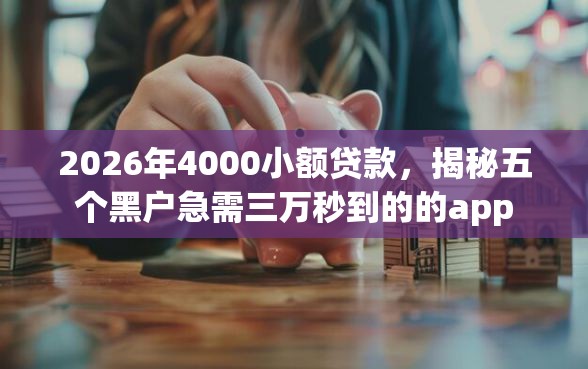 2026年4000小额贷款，揭秘五个黑户急需三万秒到的的app