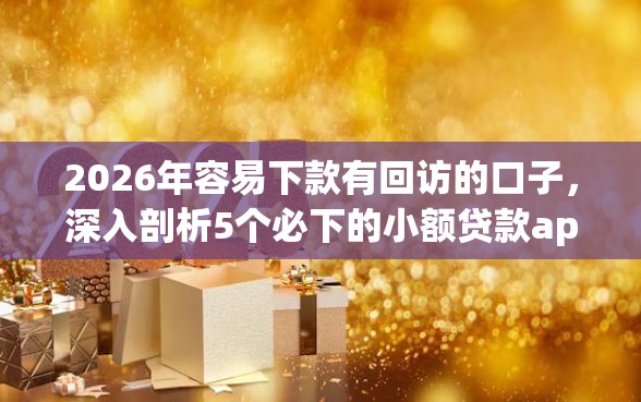 2026年容易下款有回访的口子，深入剖析5个必下的小额贷款app