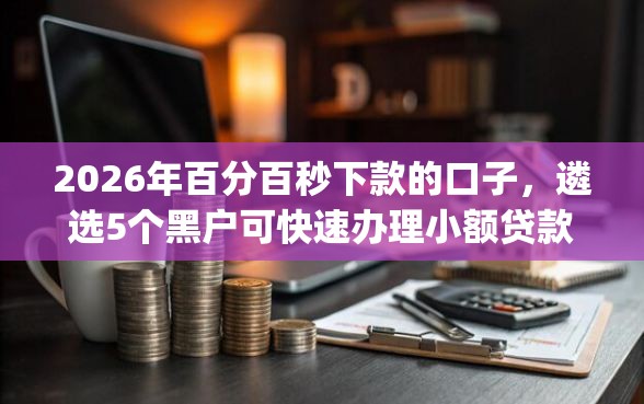 2026年百分百秒下款的口子，遴选5个黑户可快速办理小额贷款业务的app