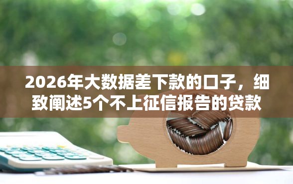 2026年大数据差下款的口子，细致阐述5个不上征信报告的贷款口子
