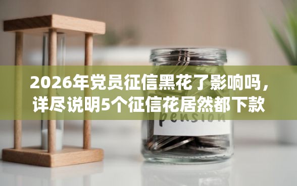 2026年党员征信黑花了影响吗，详尽说明5个征信花居然都下款了的app