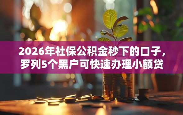 2026年社保公积金秒下的口子，罗列5个黑户可快速办理小额贷款业务的软件