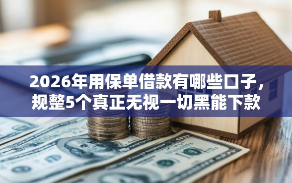 2026年用保单借款有哪些口子，规整5个真正无视一切黑能下款口子
