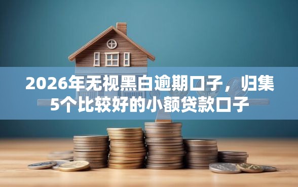2026年无视黑白逾期口子，归集5个比较好的小额贷款口子