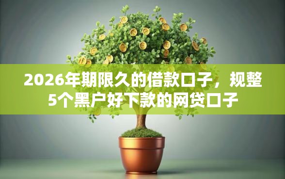 2026年期限久的借款口子，规整5个黑户好下款的网贷口子