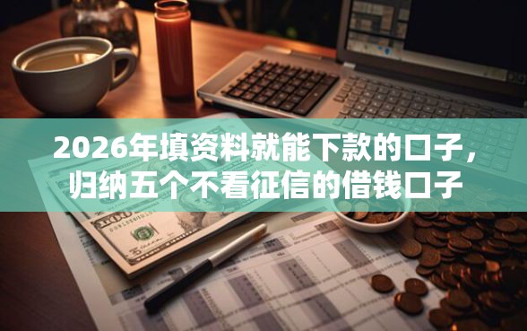 2026年填资料就能下款的口子，归纳五个不看征信的借钱口子