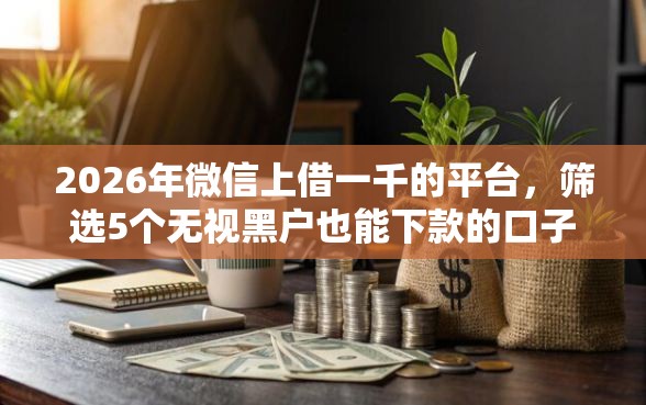 2026年微信上借一千的平台，筛选5个无视黑户也能下款的口子