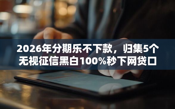 2026年分期乐不下款，归集5个无视征信黑白100%秒下网贷口子