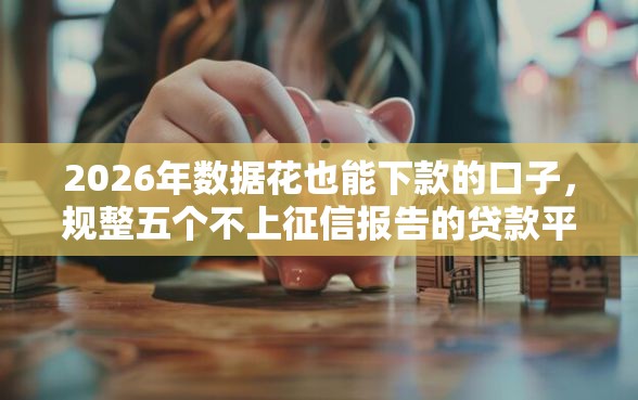 2026年数据花也能下款的口子，规整五个不上征信报告的贷款平台