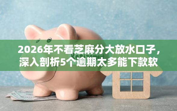 2026年不看芝麻分大放水口子，深入剖析5个逾期太多能下款软件