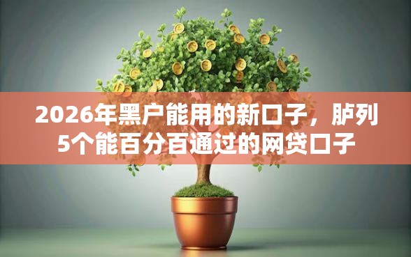 2026年黑户能用的新口子，胪列5个能百分百通过的网贷口子