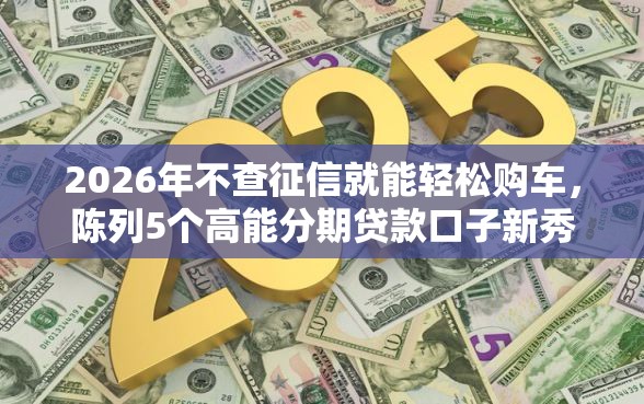2026年不查征信就能轻松购车，陈列5个高能分期贷款口子新秀
