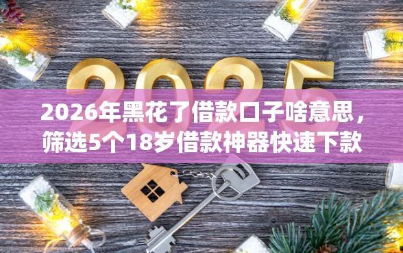 2026年黑花了借款口子啥意思，筛选5个18岁借款神器快速下款app