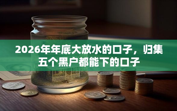 2026年年底大放水的口子，归集五个黑户都能下的口子