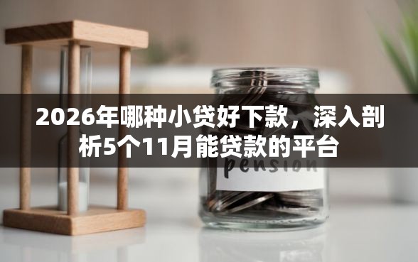 2026年哪种小贷好下款，深入剖析5个11月能贷款的平台