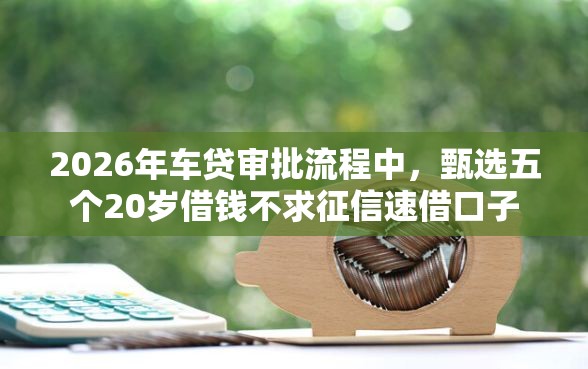 2026年车贷审批流程中，甄选五个20岁借钱不求征信速借口子