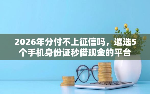 2026年分付不上征信吗，遴选5个手机身份证秒借现金的平台