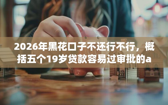 2026年黑花口子不还行不行，概括五个19岁贷款容易过审批的app