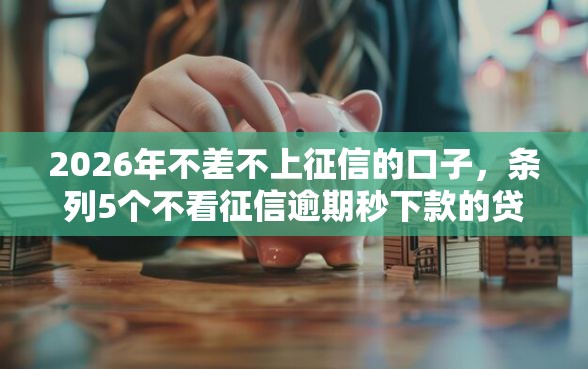 2026年不差不上征信的口子，条列5个不看征信逾期秒下款的贷款