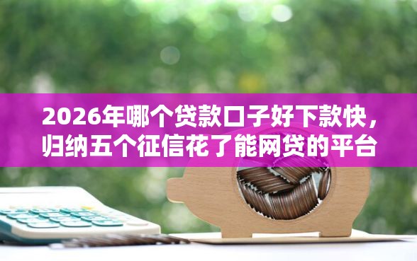 2026年哪个贷款口子好下款快，归纳五个征信花了能网贷的平台