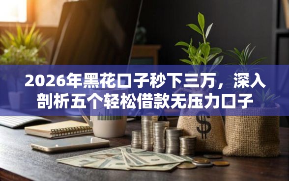 2026年黑花口子秒下三万，深入剖析五个轻松借款无压力口子