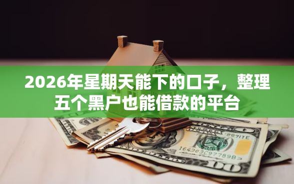 2026年星期天能下的口子，整理五个黑户也能借款的平台