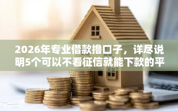 2026年专业借款撸口子，详尽说明5个可以不看征信就能下款的平台