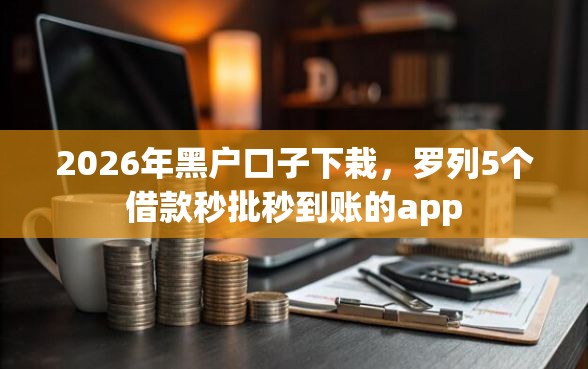 2026年黑户口子下栽，罗列5个借款秒批秒到账的app