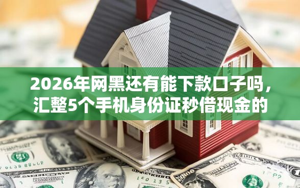 2026年网黑还有能下款口子吗,汇整5个手机身份证秒借现金的软件 2026年网黑还有能下款口子吗,汇整5个手机身份证秒借现金的软件