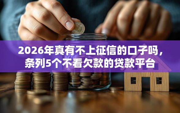 2026年真有不上征信的口子吗，条列5个不看欠款的贷款平台