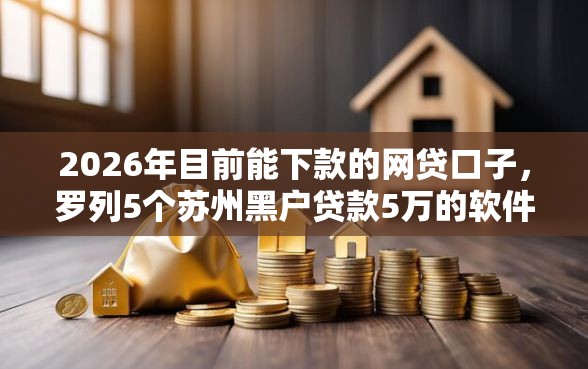 2026年目前能下款的网贷口子，罗列5个苏州黑户贷款5万的软件
