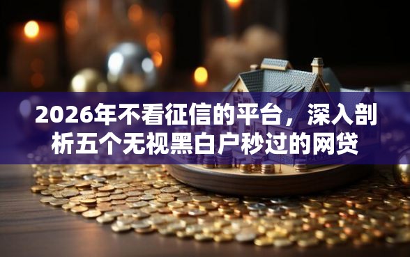 2026年不看征信的平台，深入剖析五个无视黑白户秒过的网贷