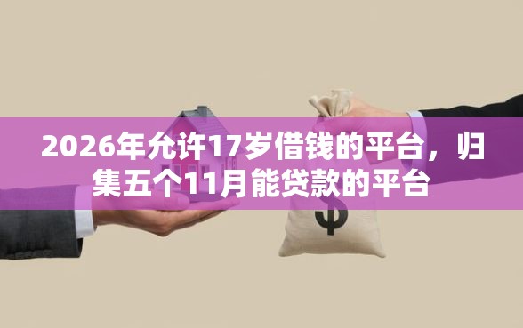 2026年允许17岁借钱的平台，归集五个11月能贷款的平台