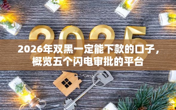 2026年双黑一定能下款的口子，概览五个闪电审批的平台